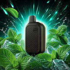 Flavour Beast SIX 24k